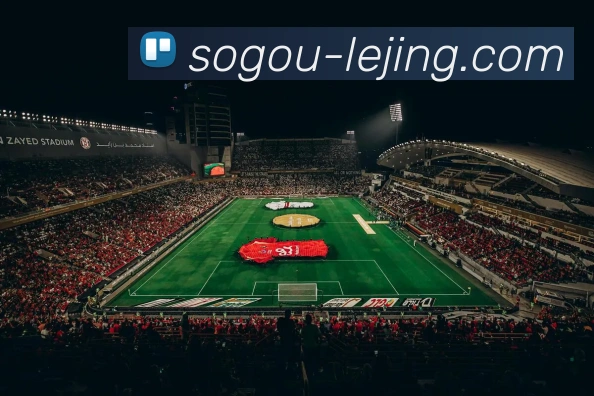 未来规划
