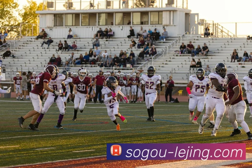 登录器